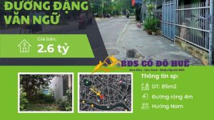 Bán đất kiệt 93 đặng văn ngữ 85m 2.6 tỷ