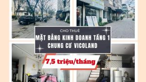 mặt bằng kinh doanh tầng 1 chung cư vicoland