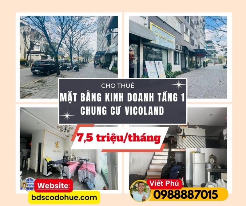 mặt bằng kinh doanh tầng 1 chung cư vicoland